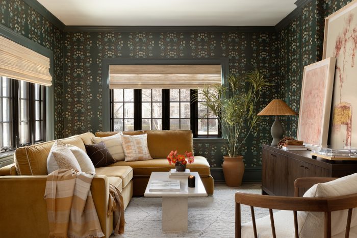 Thanks to Paint and Textiles, This Modern Traditional Denver Home Gets a Maximalist Makeover