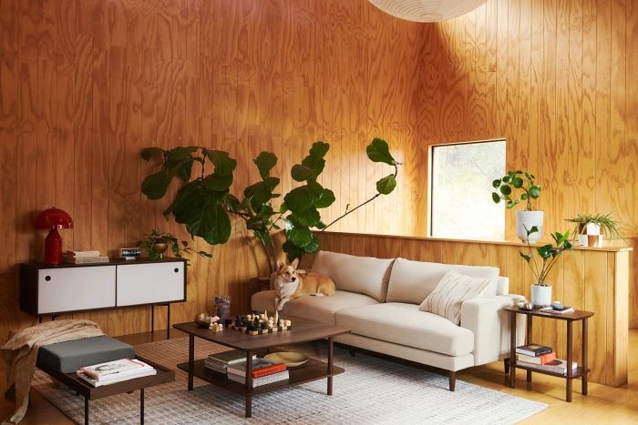 12 Small Living Room Furniture Options to Suit Your Cozy Space